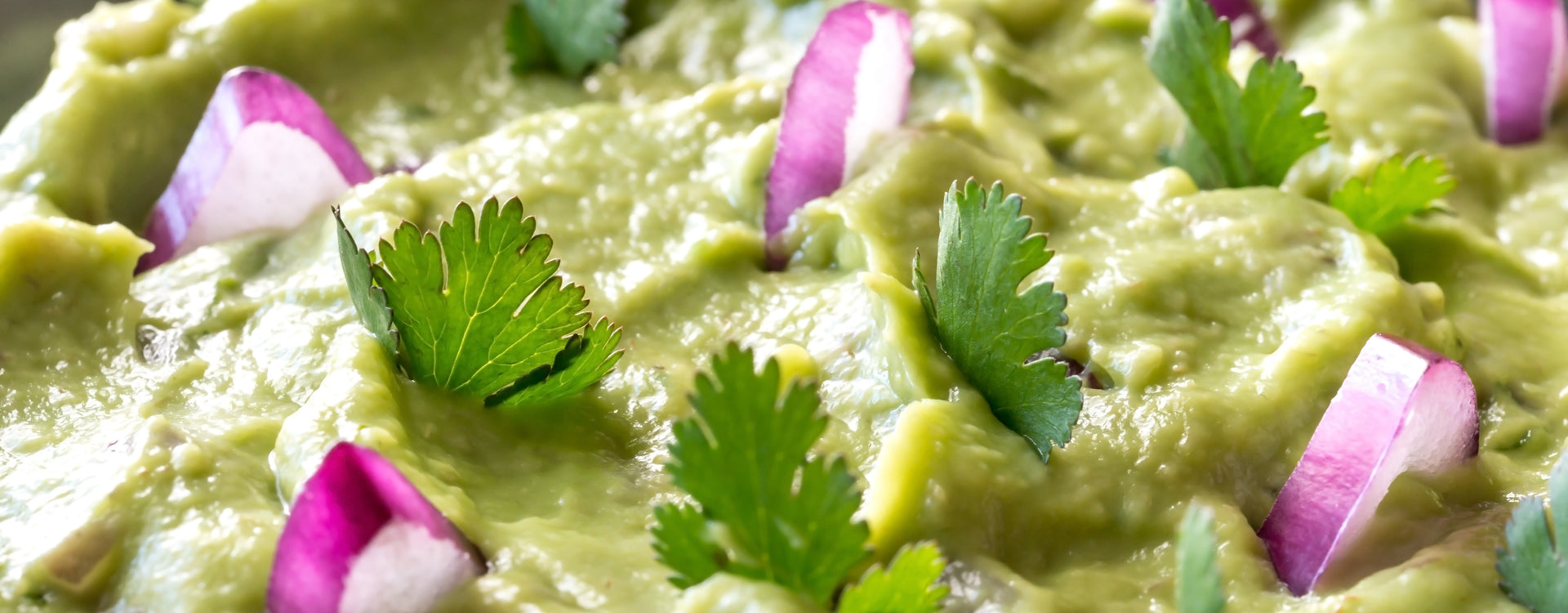 Spicy Cilantro Dipping Sauce