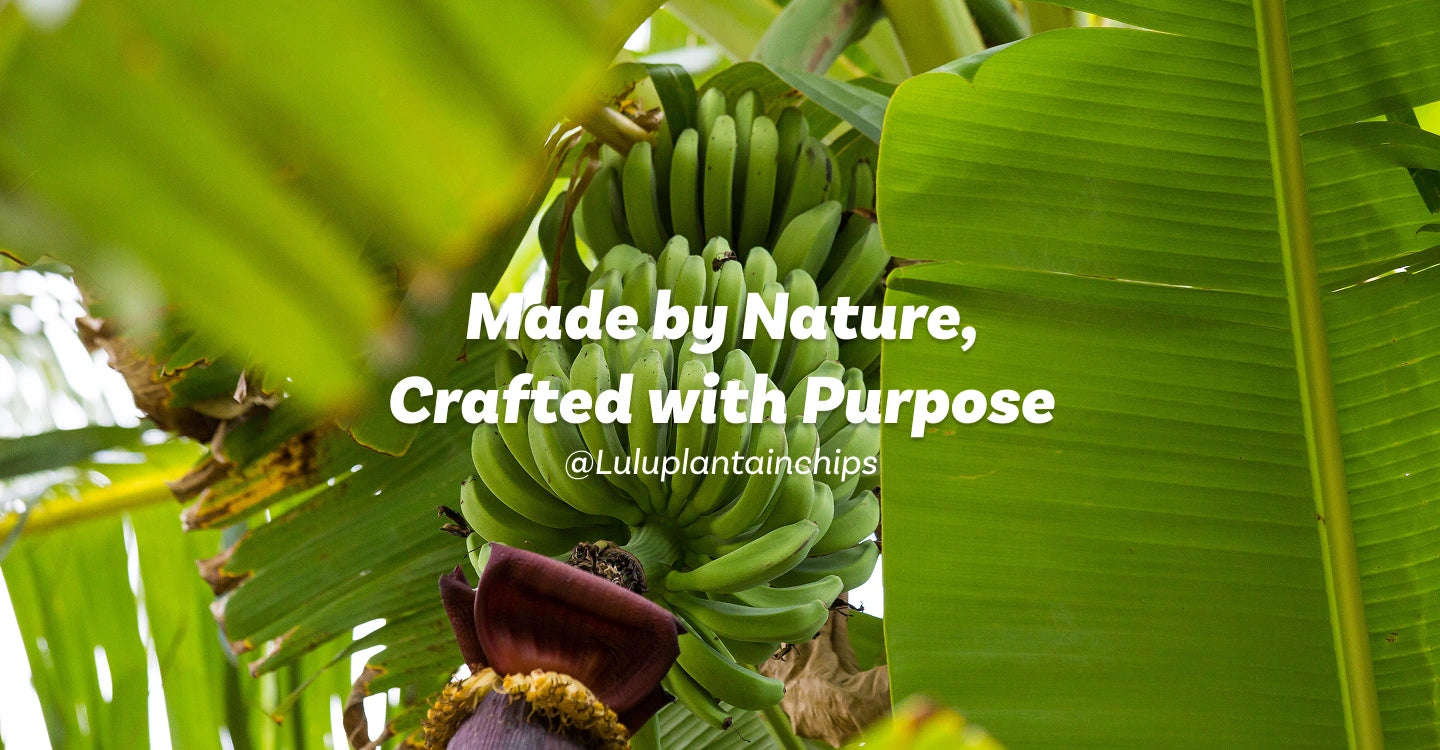 Made by Nature, Crafted with Purpose